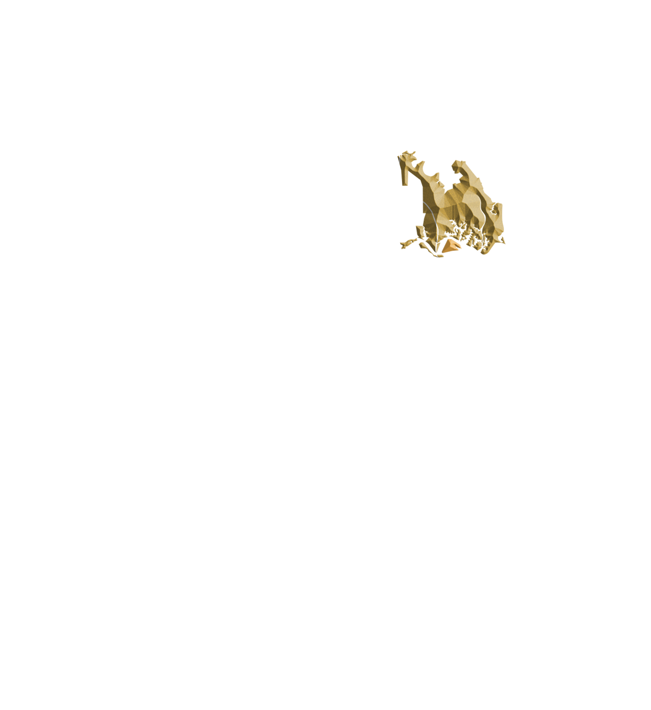 Area 4