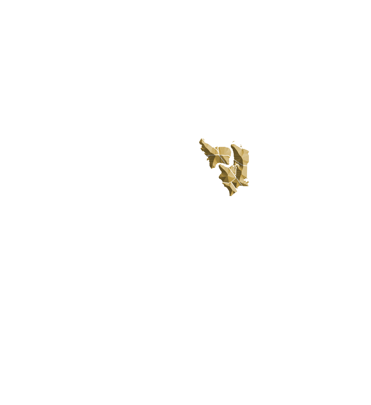 Area 5